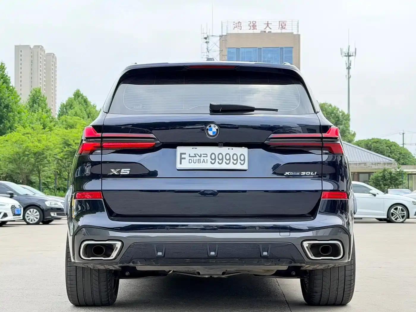BMW X5 2023 xDrive 30Li Luxury M Sport Package — миниатюра 5