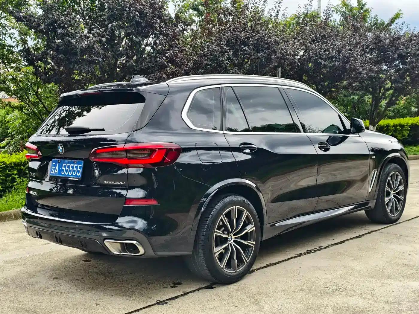 BMW X5 2022 xDrive 30Li Luxury M Sport Package — миниатюра 9