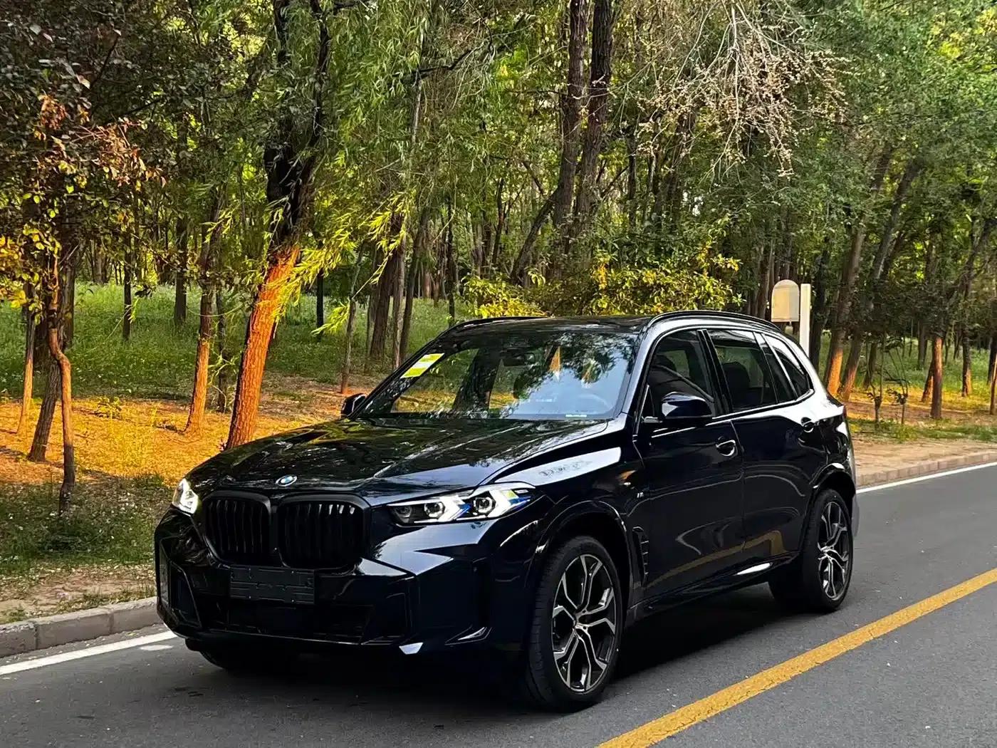 2026 BMW X5 xDrive 40Li M Sport Shadow Edition — миниатюра 2