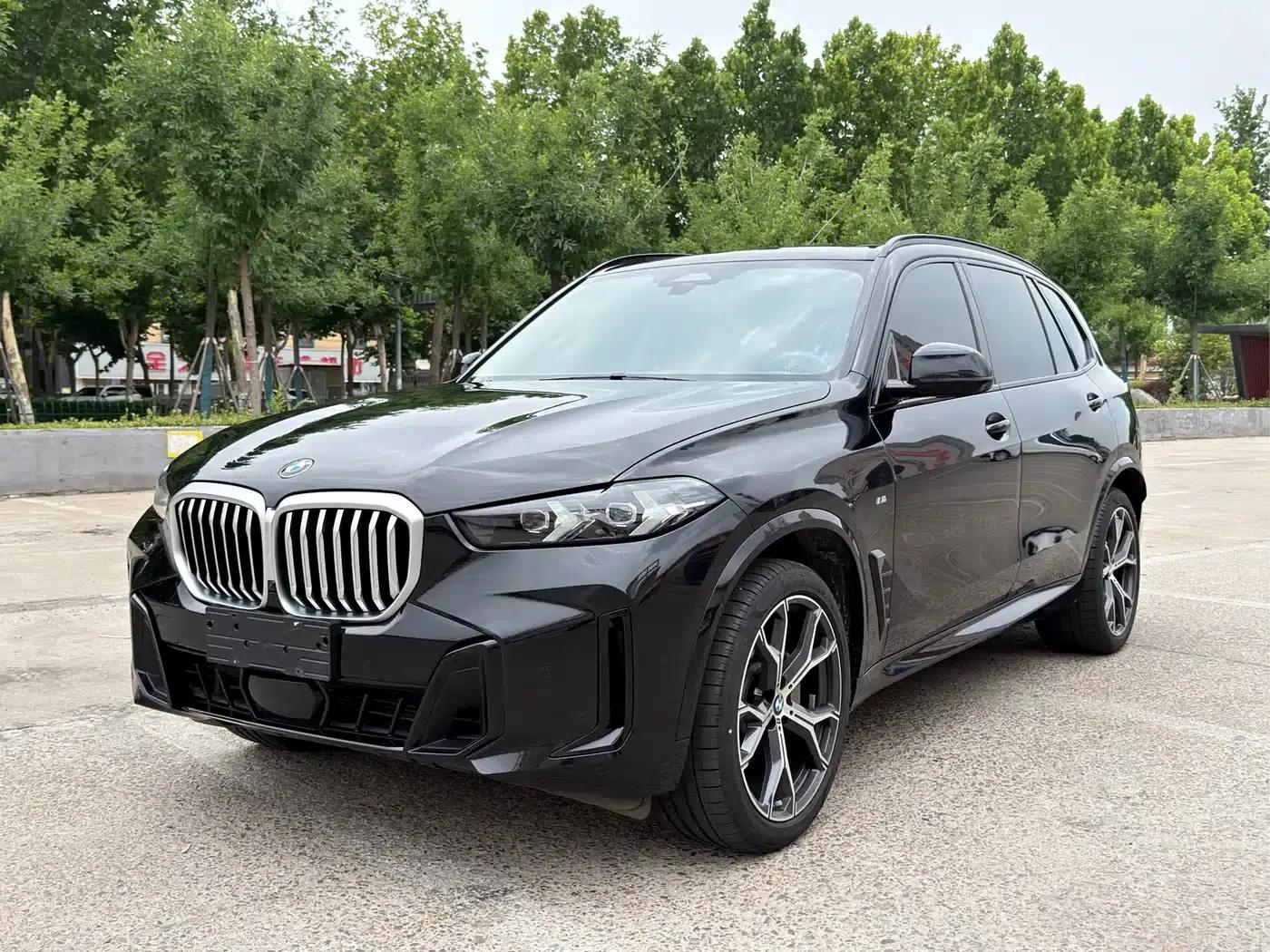 BMW X5 2023 xDrive 30Li M Sport Shadow Edition — миниатюра 2