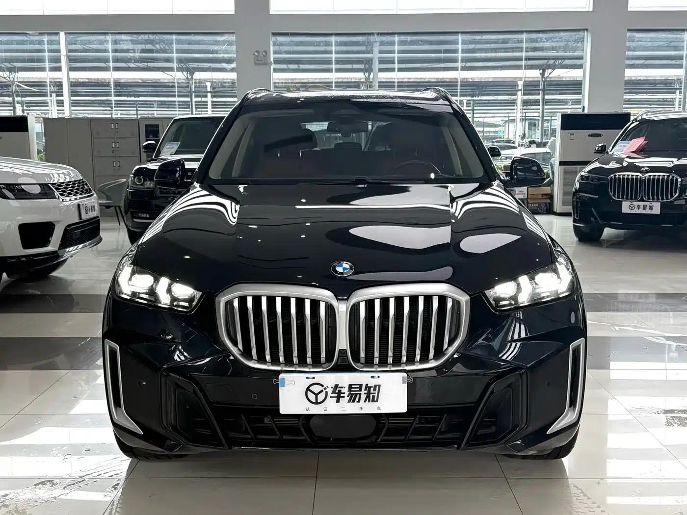 BMW X5 2023 xDrive 30Li M Sport Shadow Edition — миниатюра 2