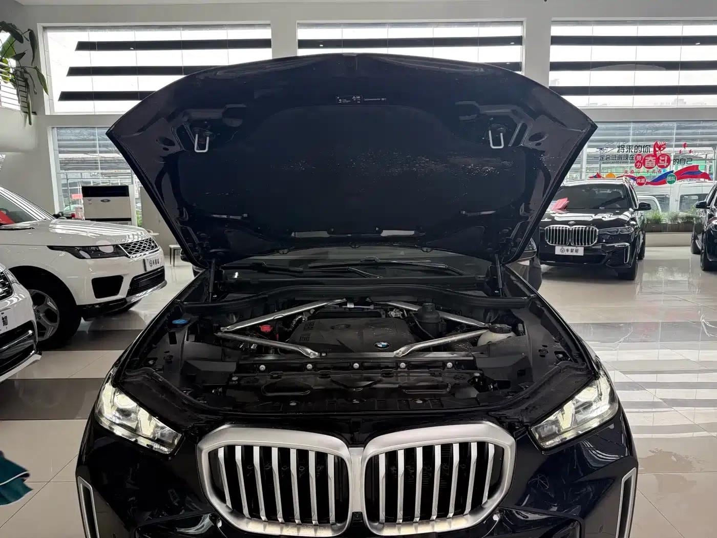 BMW X5 2023 xDrive 30Li M Sport Shadow Edition — миниатюра 11