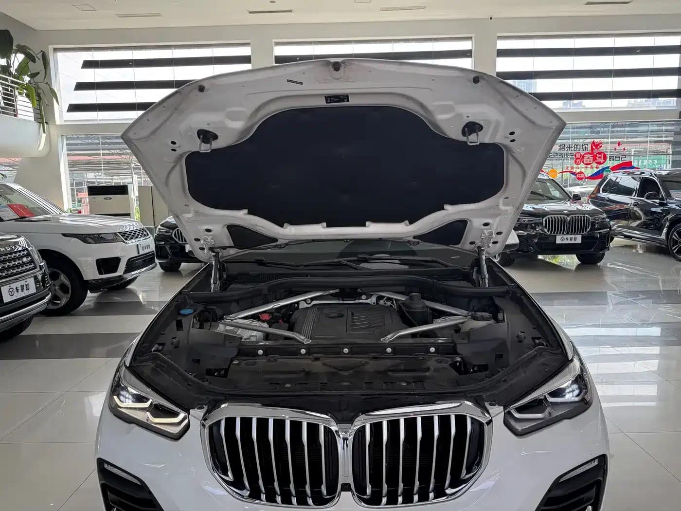 2019 BMW X5 xDrive40i M Sport Package (Imported) — миниатюра 4