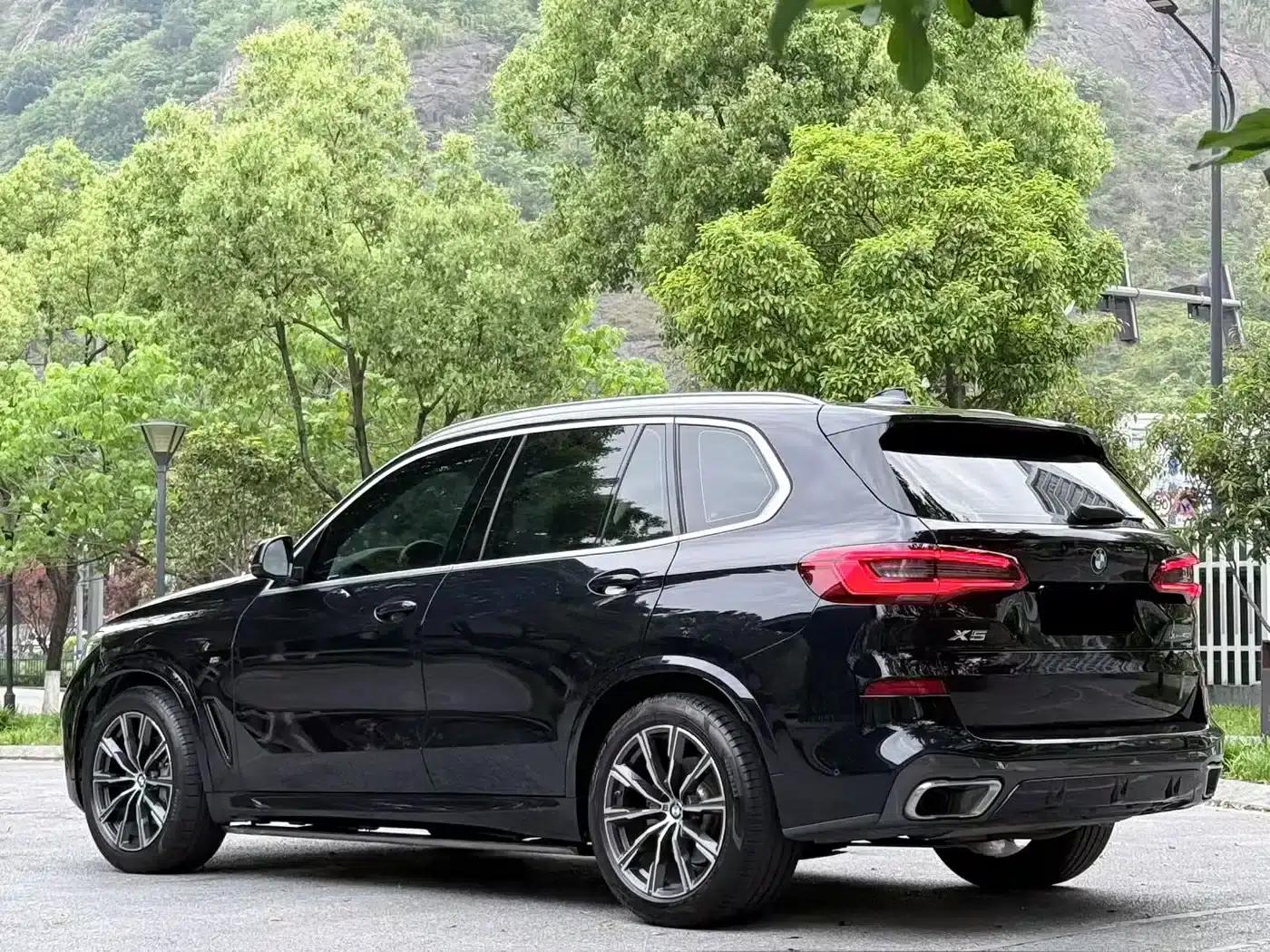 2019 BMW X5 xDrive40i M Sport Package (Imported) — миниатюра 9