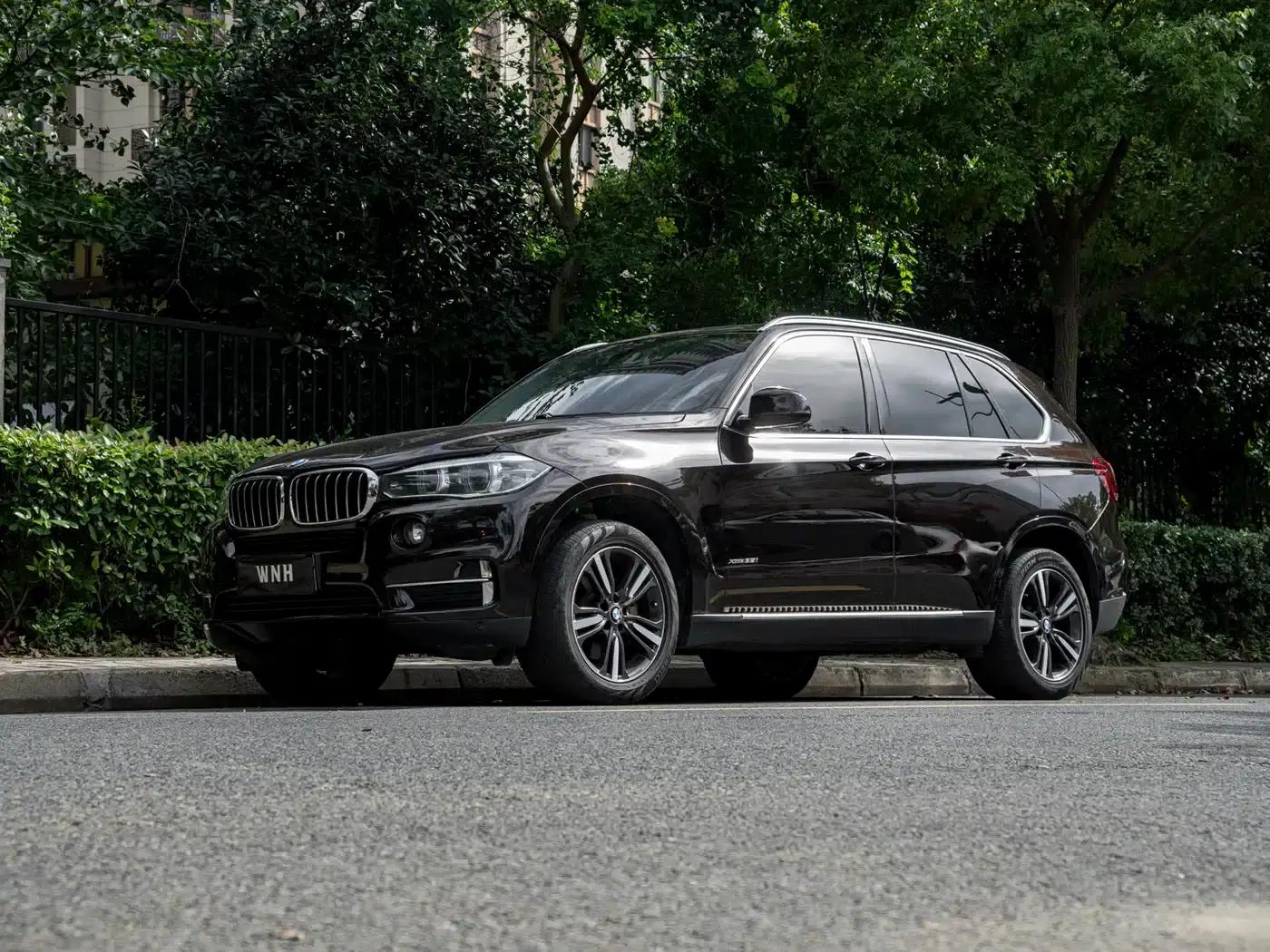 2017 BMW X5 xDrive35i Elegant (Imported) — миниатюра 1