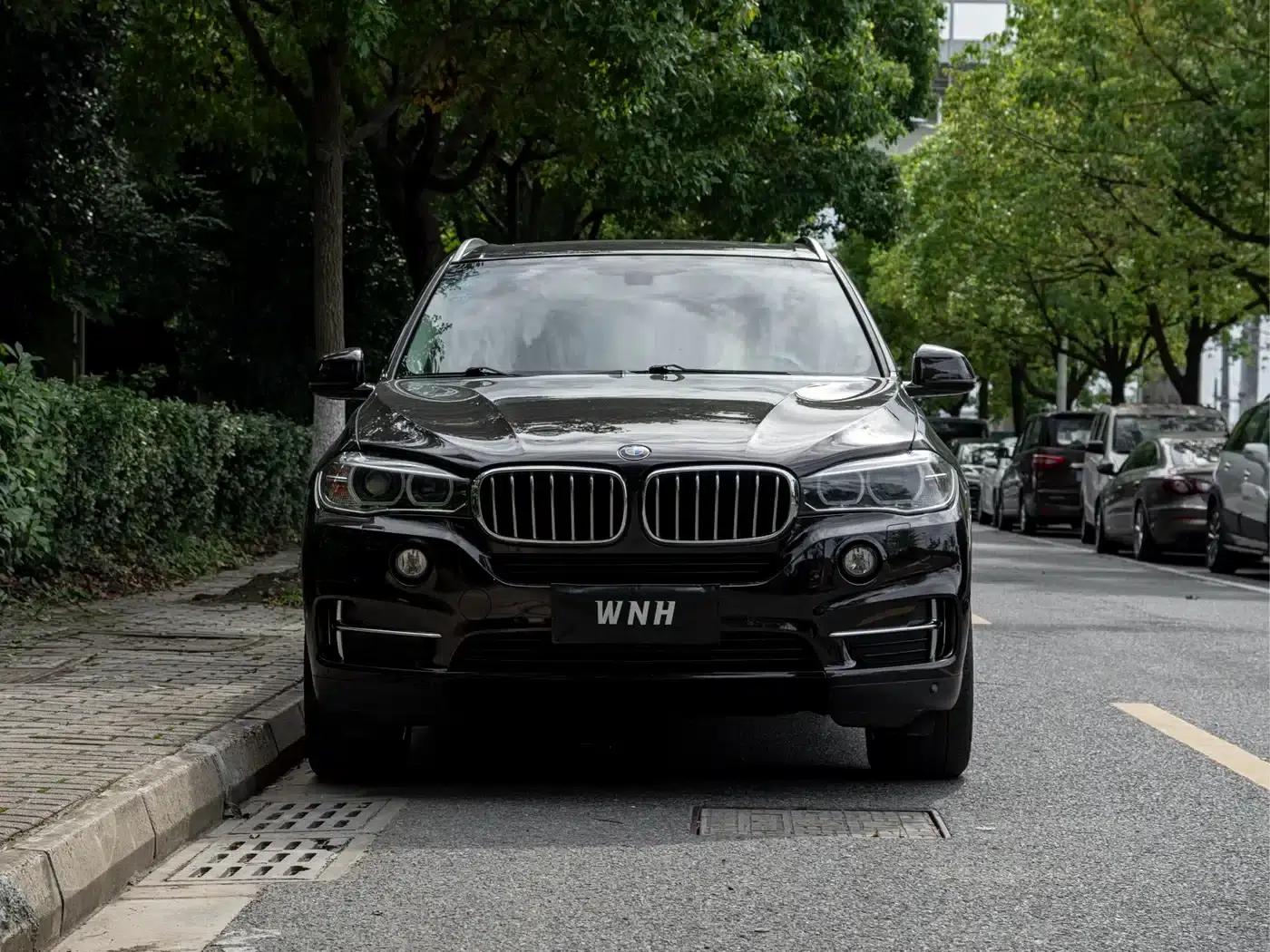 2017 BMW X5 xDrive35i Elegant (Imported) — миниатюра 2