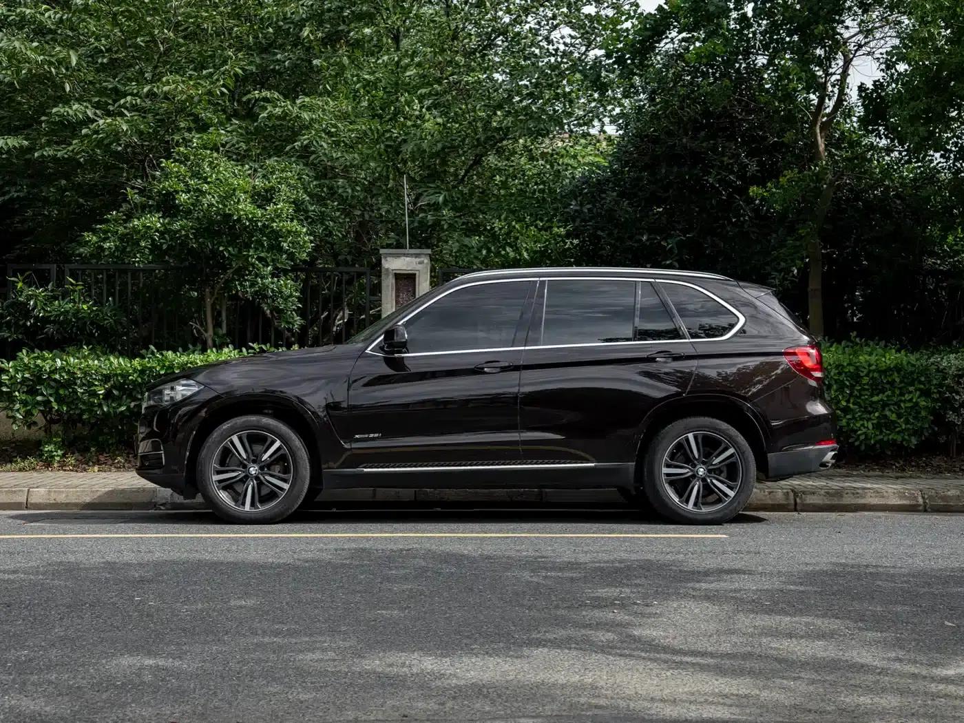 2017 BMW X5 xDrive35i Elegant (Imported) — миниатюра 3