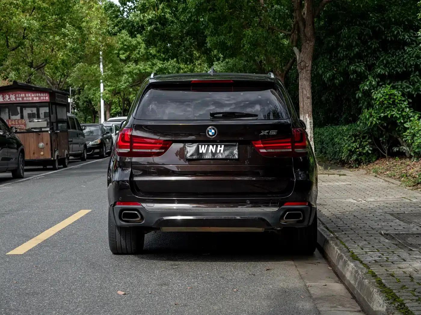 2017 BMW X5 xDrive35i Elegant (Imported) — миниатюра 4