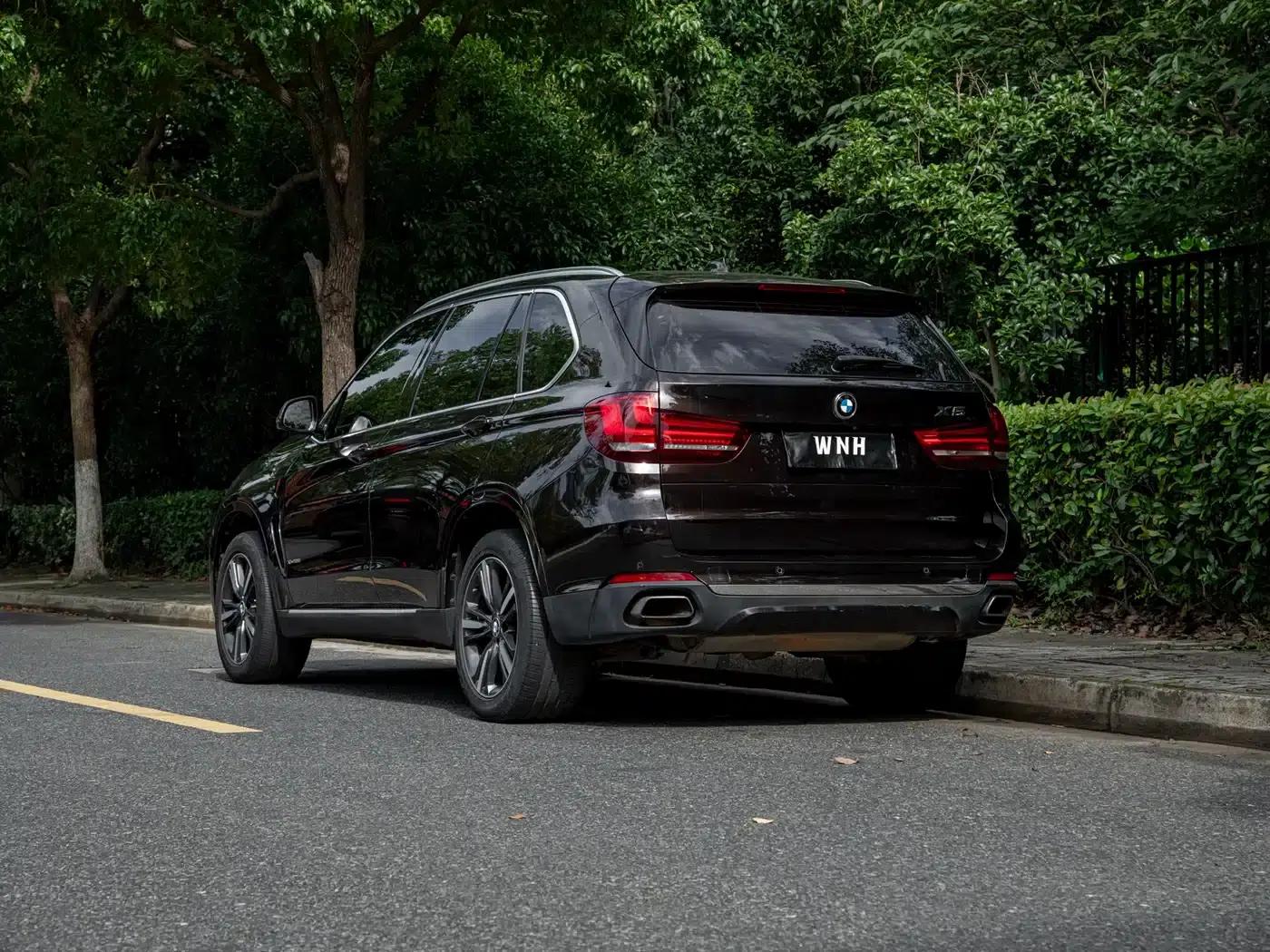 2017 BMW X5 xDrive35i Elegant (Imported) — миниатюра 5
