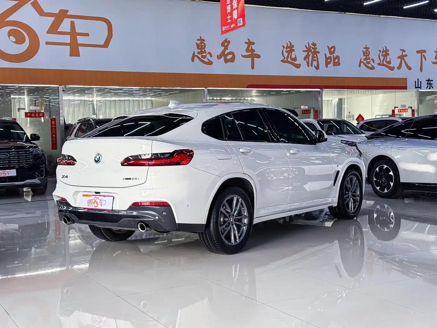 BMW X4 2021 xDrive 25i M Sport Shadow Edition — миниатюра 8