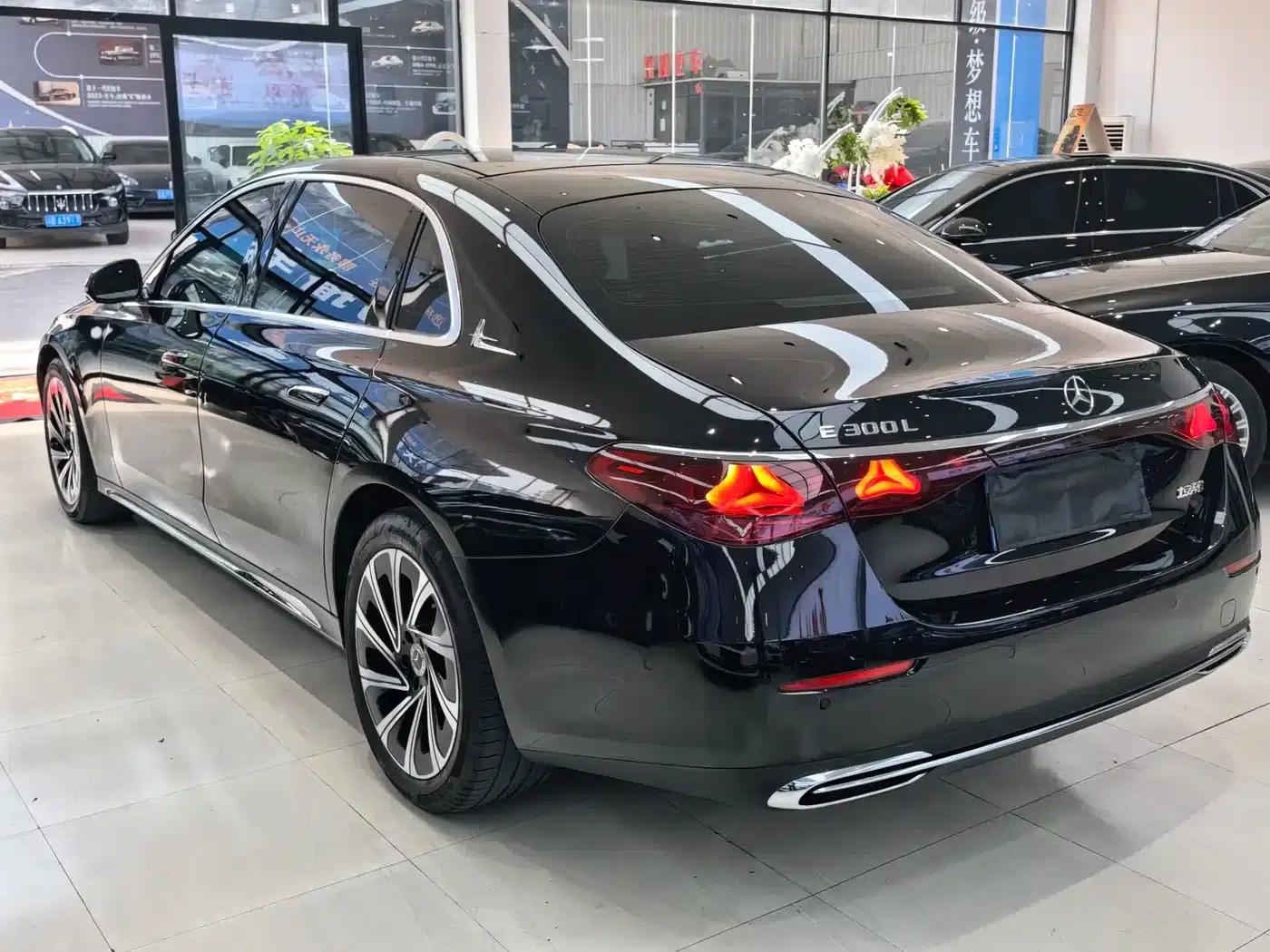 2024 Mercedes-Benz E-Class E 300 L Luxury — миниатюра 10