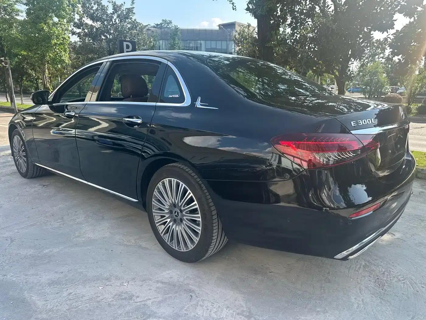 2022 Mercedes-Benz E-Class E 300 L Luxury — миниатюра 9