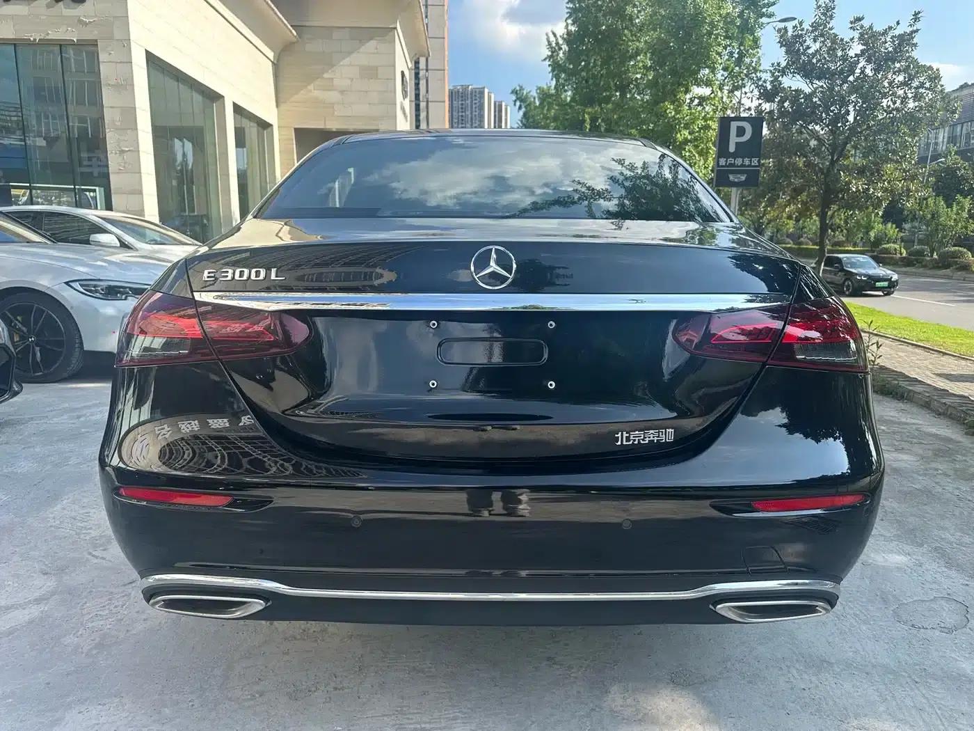 2022 Mercedes-Benz E-Class E 300 L Luxury — миниатюра 10