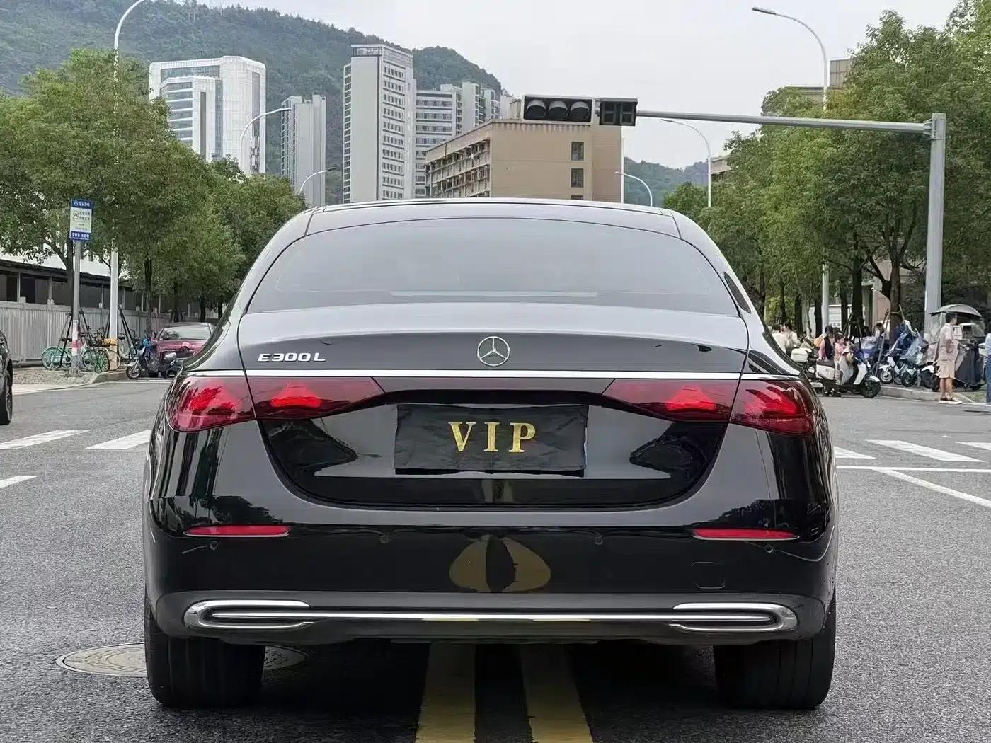 2025 Mercedes-Benz E-Class E 300 L Luxury — миниатюра 8