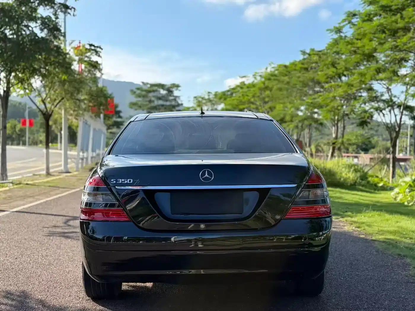 Mercedes-Benz S-Class 2008 S 350 L Luxury — миниатюра 8