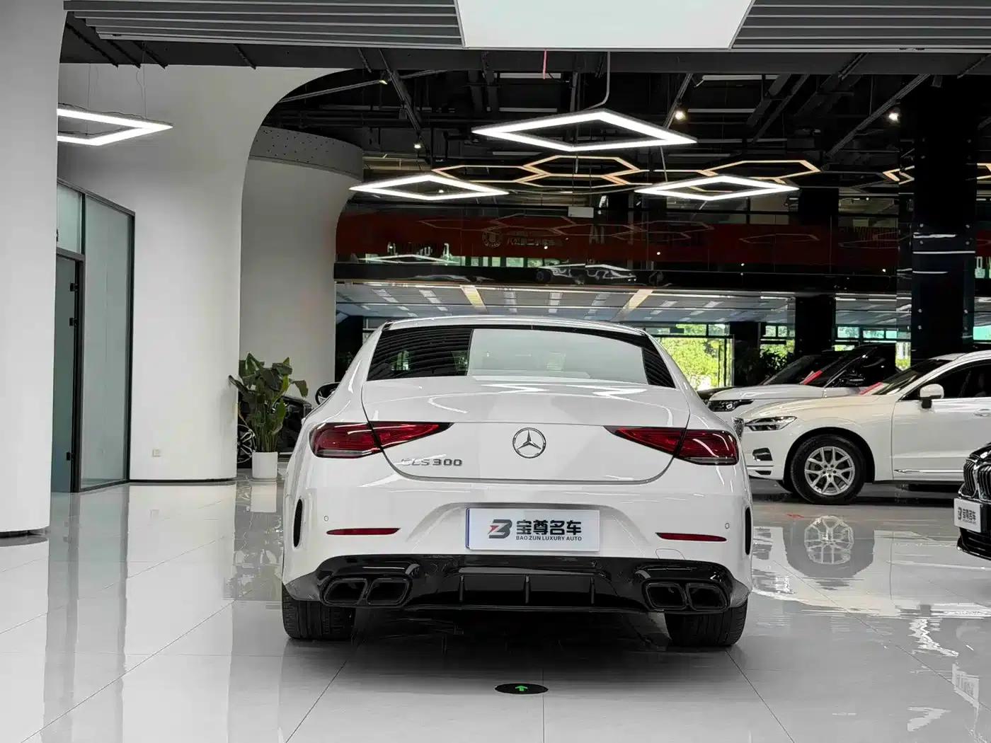 Mercedes-Benz CLS 2022 CLS 300 Dynamic — миниатюра 11