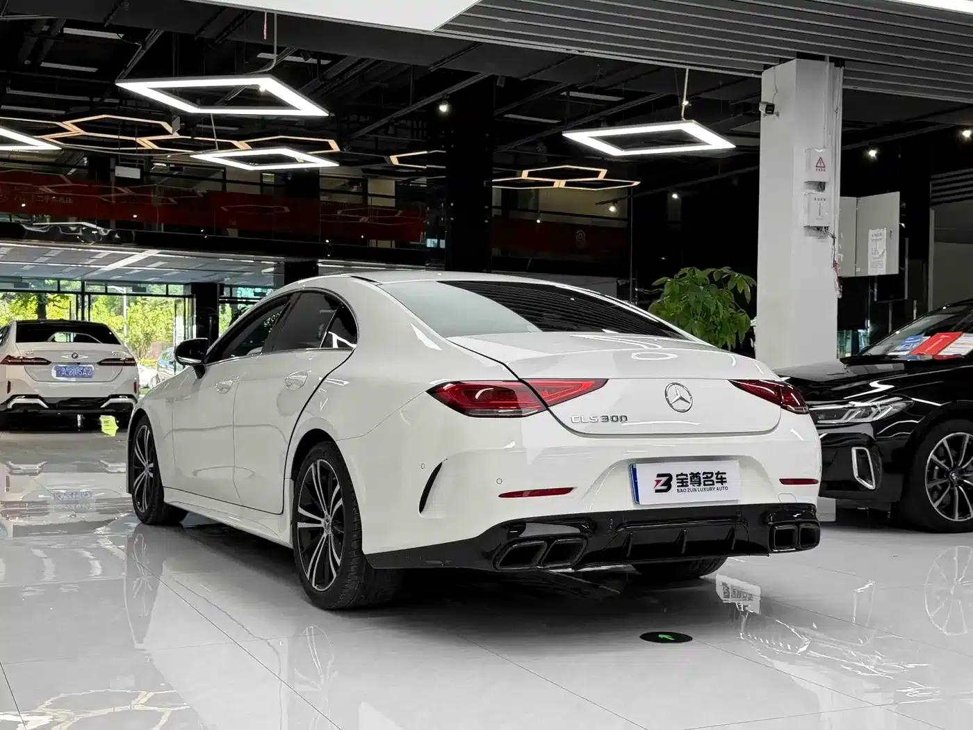 Mercedes-Benz CLS 2022 CLS 300 Dynamic — миниатюра 12