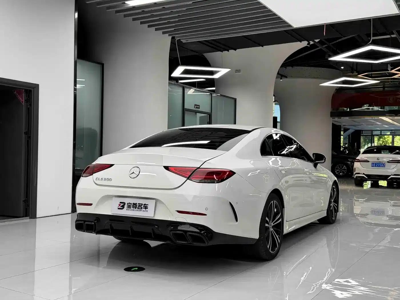 Mercedes-Benz CLS 2022 CLS 300 Dynamic — миниатюра 10