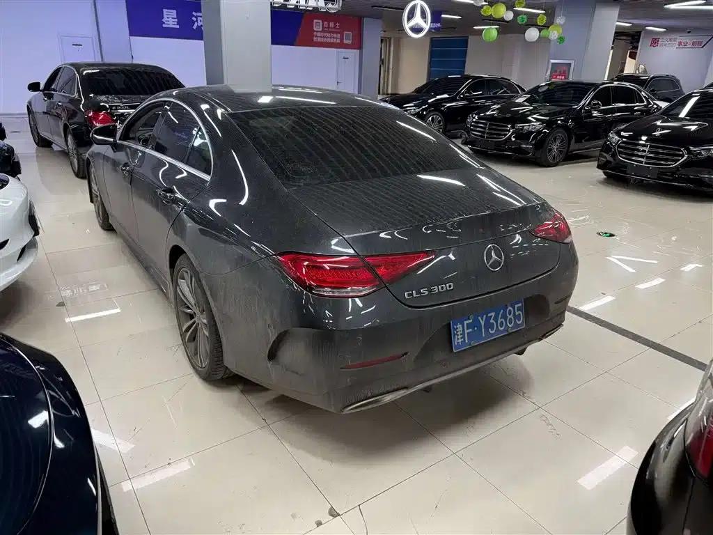 Mercedes-Benz CLS 2021 CLS 300 Dynamic — миниатюра 4