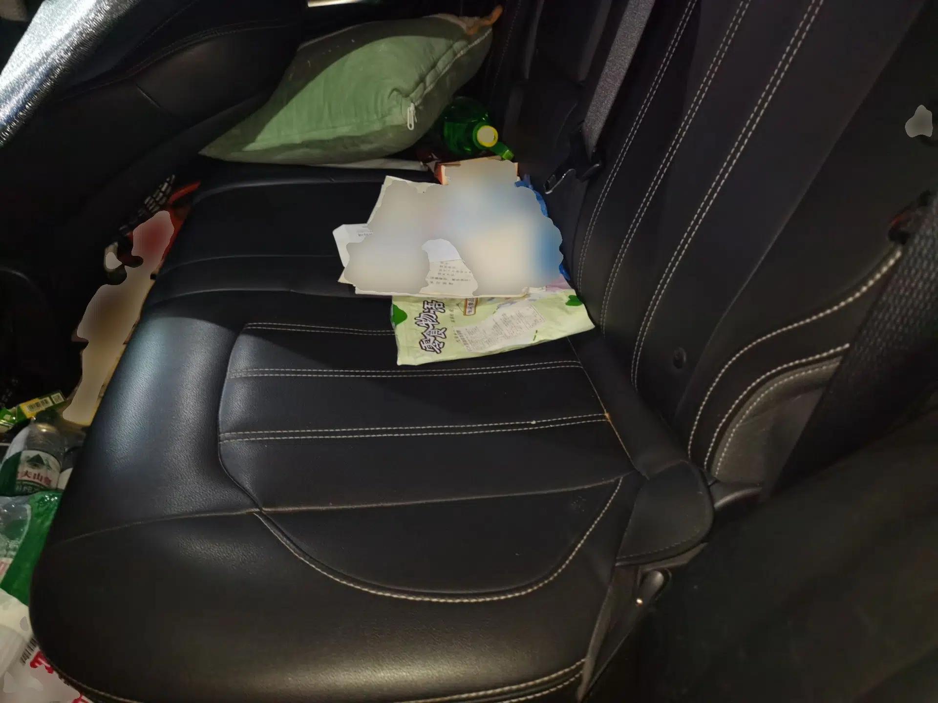 BYD Song New Energy 2019 Song DM 1.5TID Smart Connect Premium Model — миниатюра 17