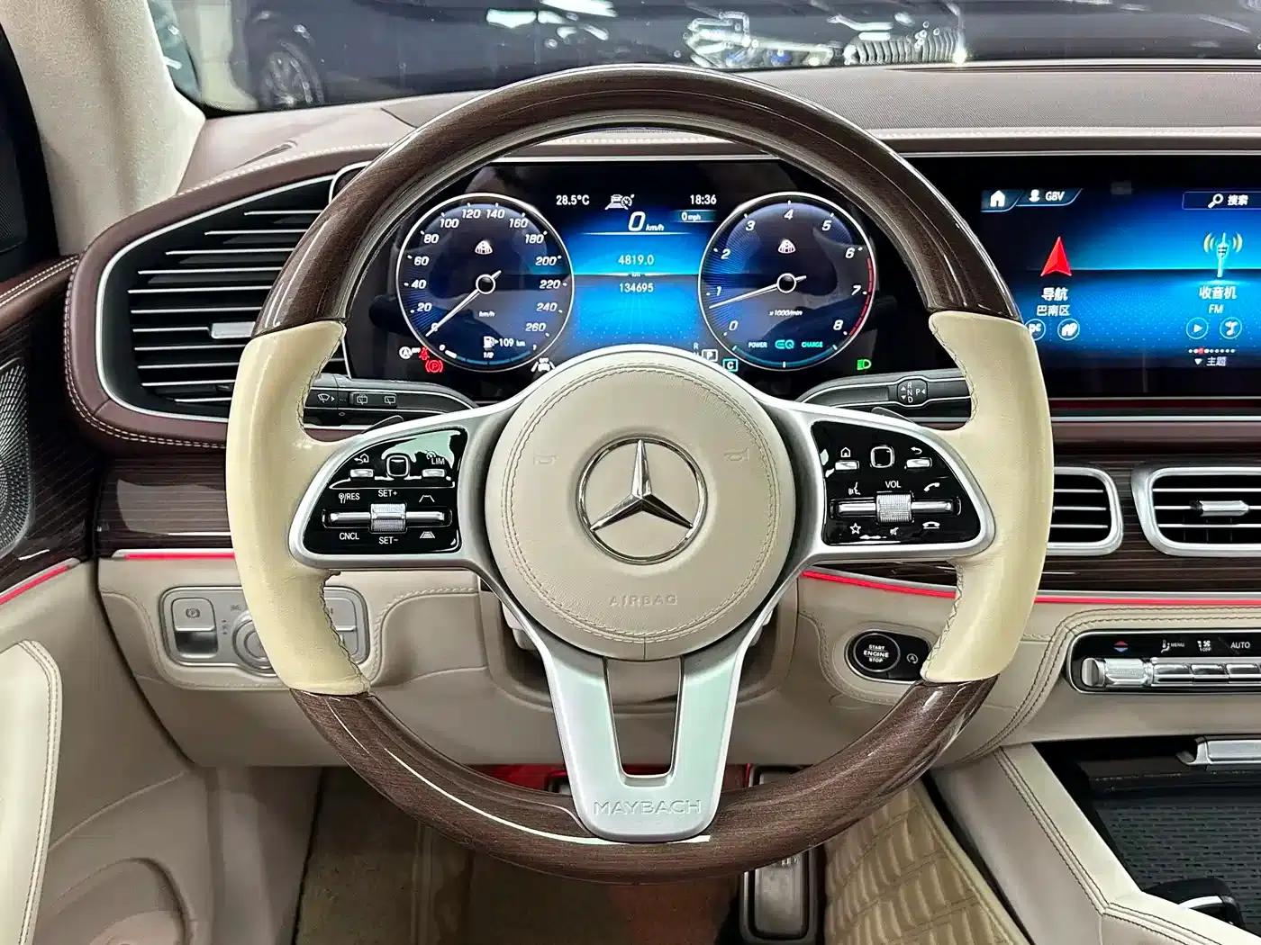 2021 Maybach GLS 480 4MATIC — миниатюра 19