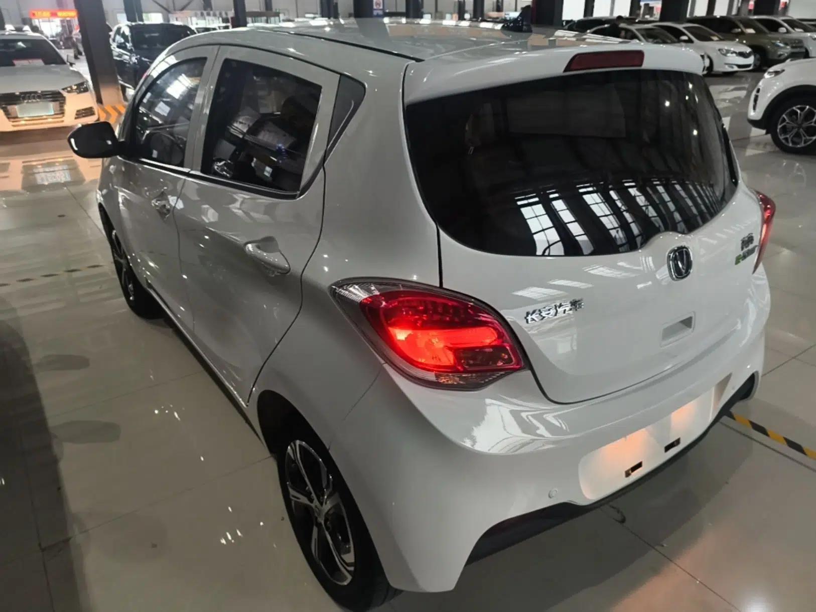 CHANGAN Benni E-Star 2021 National Edition Xin Yue Version Lithium-Ion Battery — миниатюра 4