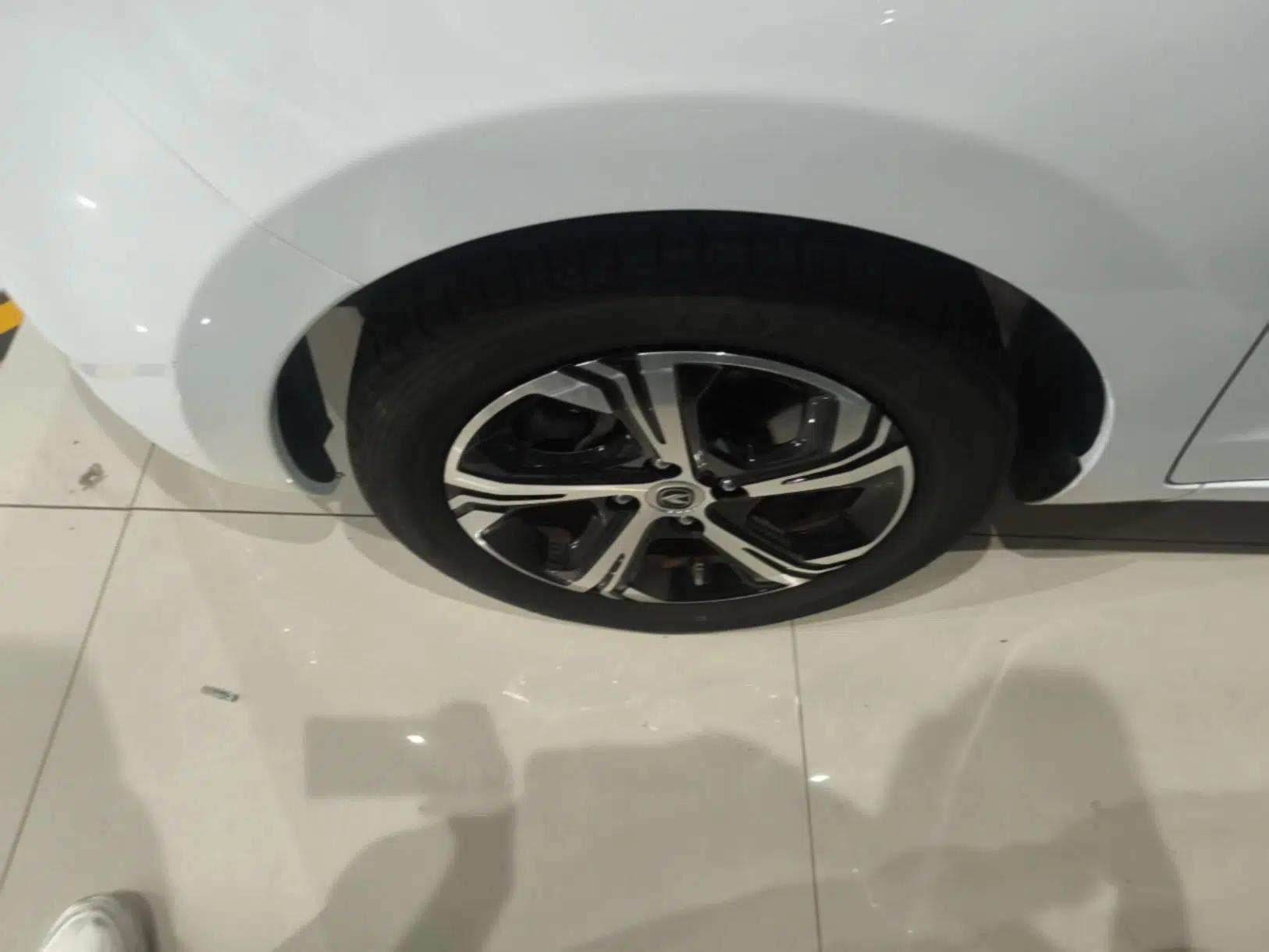 CHANGAN Benni E-Star 2021 National Edition Xin Yue Version Lithium-Ion Battery — миниатюра 10