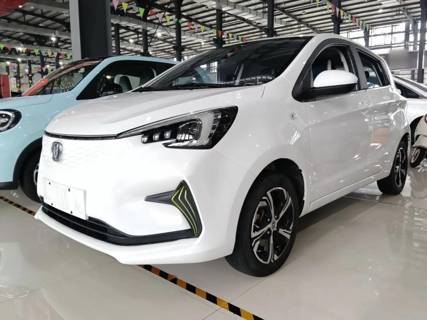 CHANGAN Benni E-Star 2022 Qingxin Edition Colorful Model Lithium Iron Phosphate — миниатюра 1