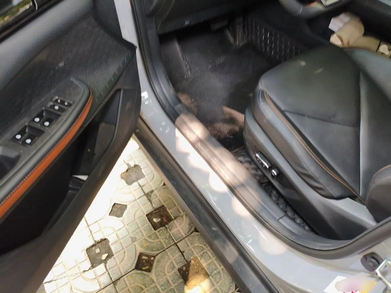 CHANGAN UNI-V iDD 2023 ZhiDian iDD 1.5T 113km ZhiKu Model — миниатюра 16