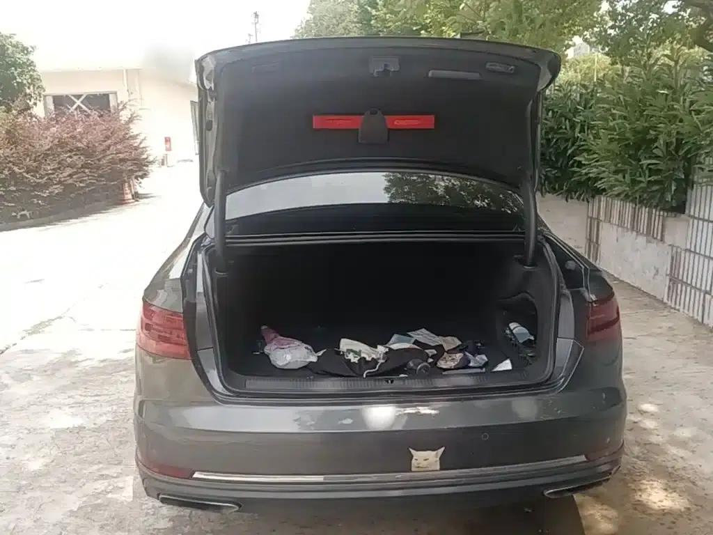 Audi A4L 2019 40 TFSI Progressive (China VI Emission Standard) — миниатюра 19
