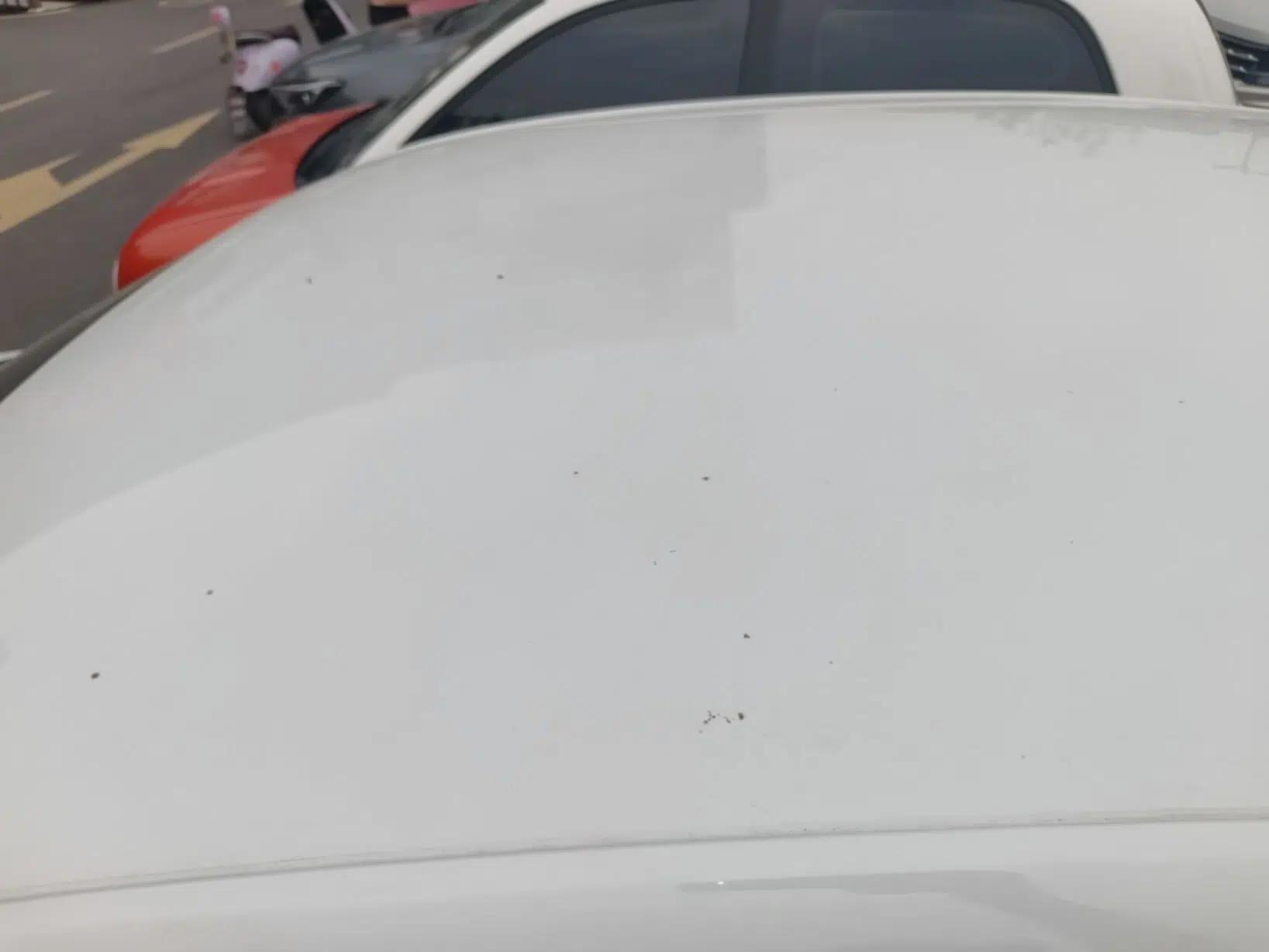 Volkswagen Lavida 2023 New Sharp 1.5L Automatic Custom Edition — миниатюра 7