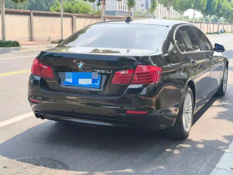 2014 BMW 5 Series 525Li Leading Edition — миниатюра 7