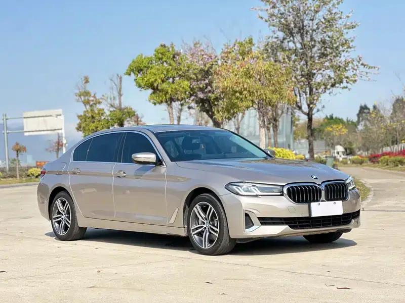 2021 BMW 5 Series 530Li Executive Luxury Package — миниатюра 3