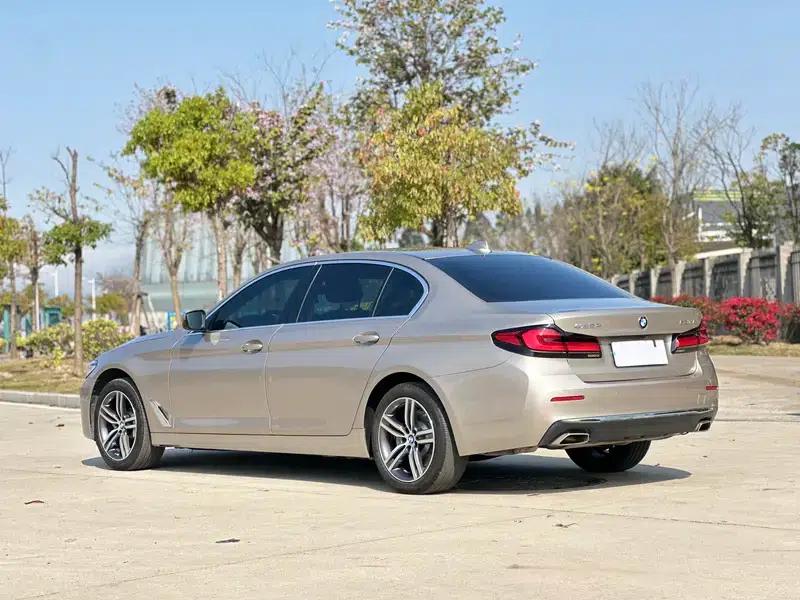 2021 BMW 5 Series 530Li Executive Luxury Package — миниатюра 4