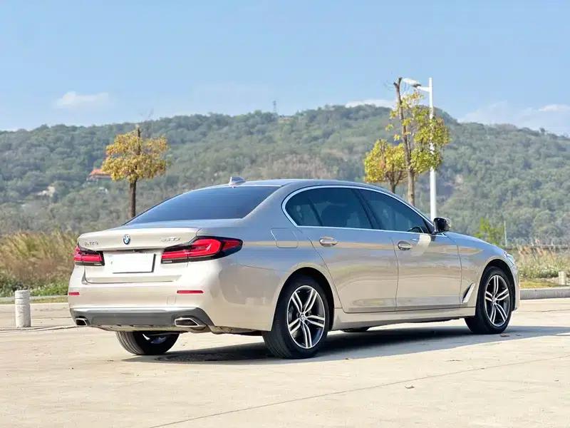 2021 BMW 5 Series 530Li Executive Luxury Package — миниатюра 6