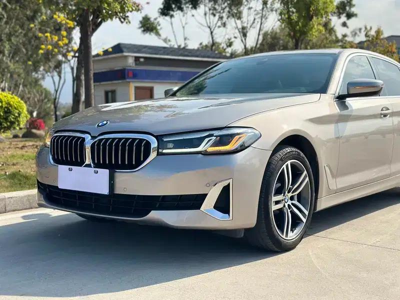 2021 BMW 5 Series 530Li Executive Luxury Package — миниатюра 9
