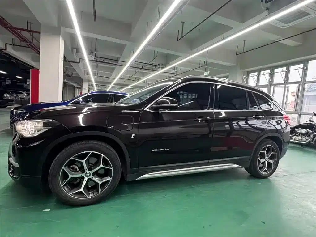 BMW X1 PHEV 2018 xDrive25Le Luxury — миниатюра 11