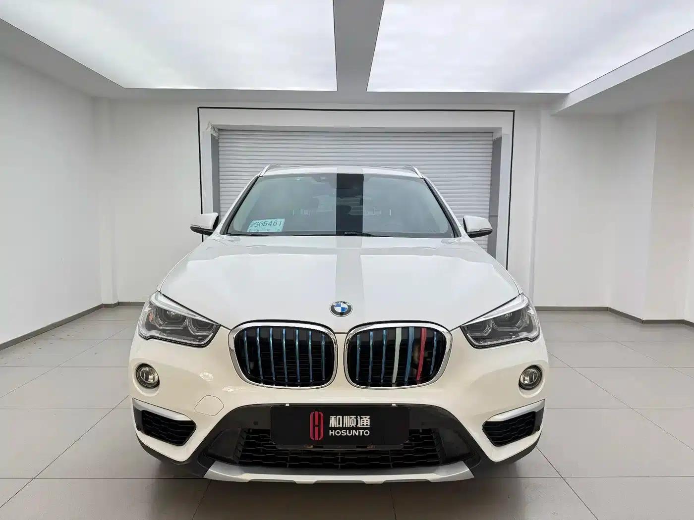BMW X1 PHEV 2018 xDrive25Le Luxury — миниатюра 2