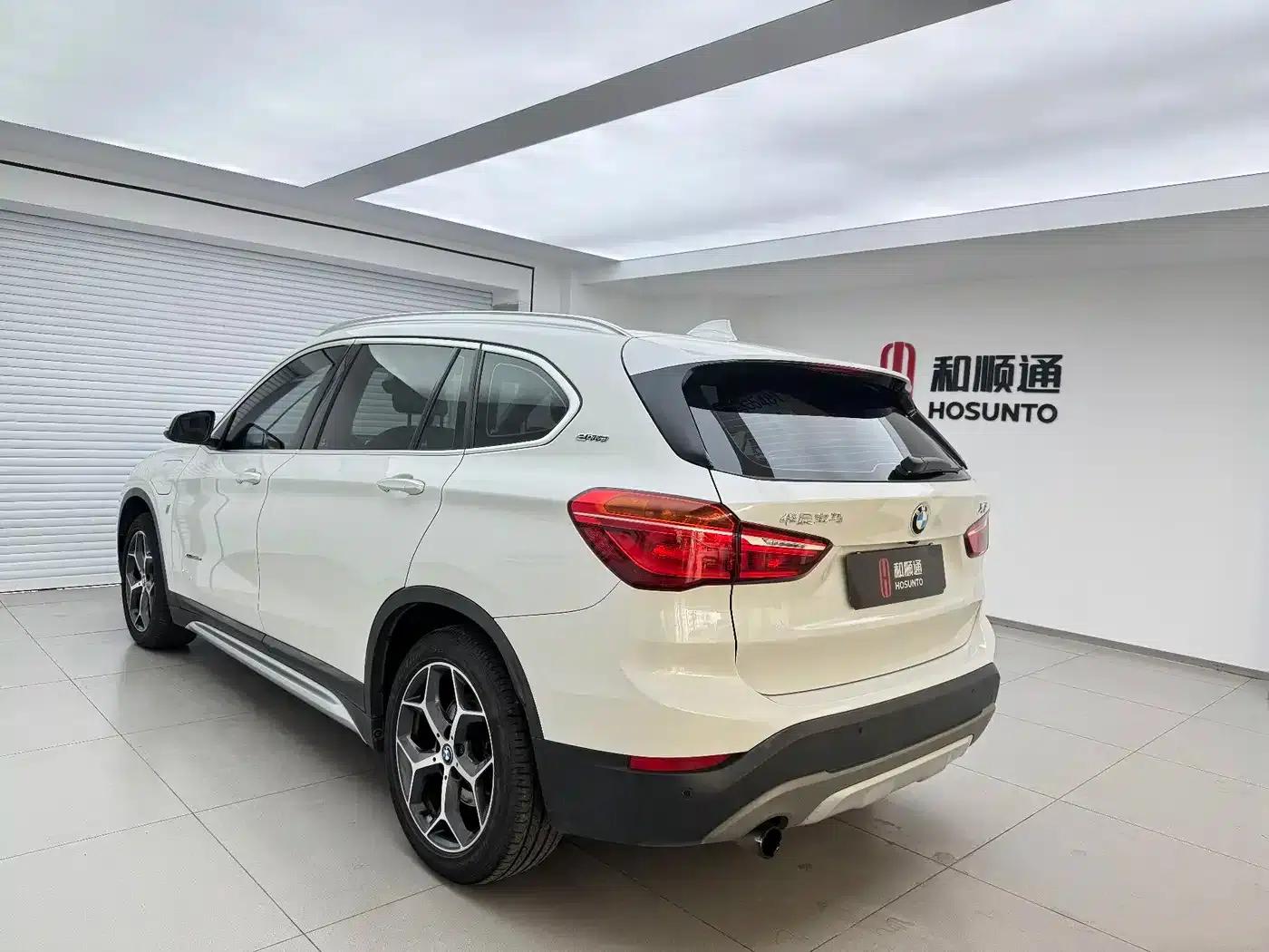 BMW X1 PHEV 2018 xDrive25Le Luxury — миниатюра 9