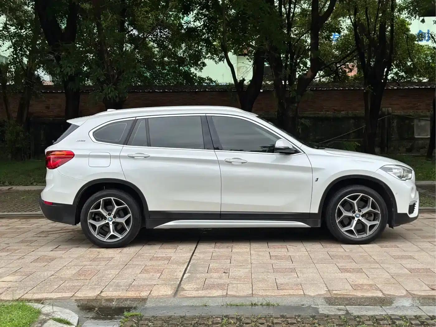 BMW X1 PHEV 2018 xDrive25Le Luxury — миниатюра 3