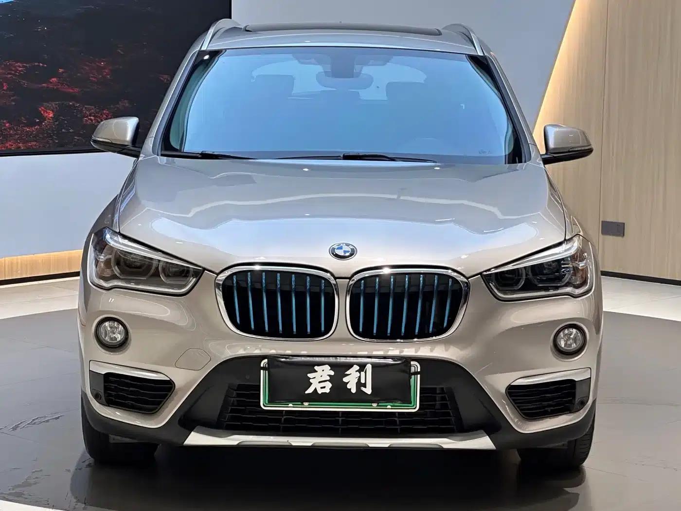 BMW X1 PHEV 2018 xDrive25Le Luxury — миниатюра 3