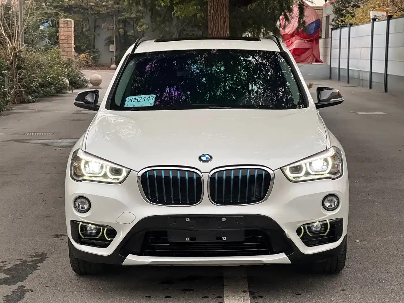 BMW X1 PHEV 2018 xDrive25Le Luxury — миниатюра 2