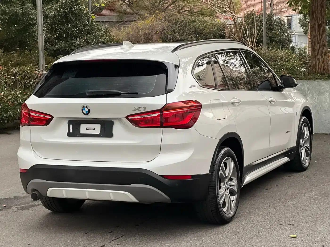 BMW X1 PHEV 2018 xDrive25Le Luxury — миниатюра 19