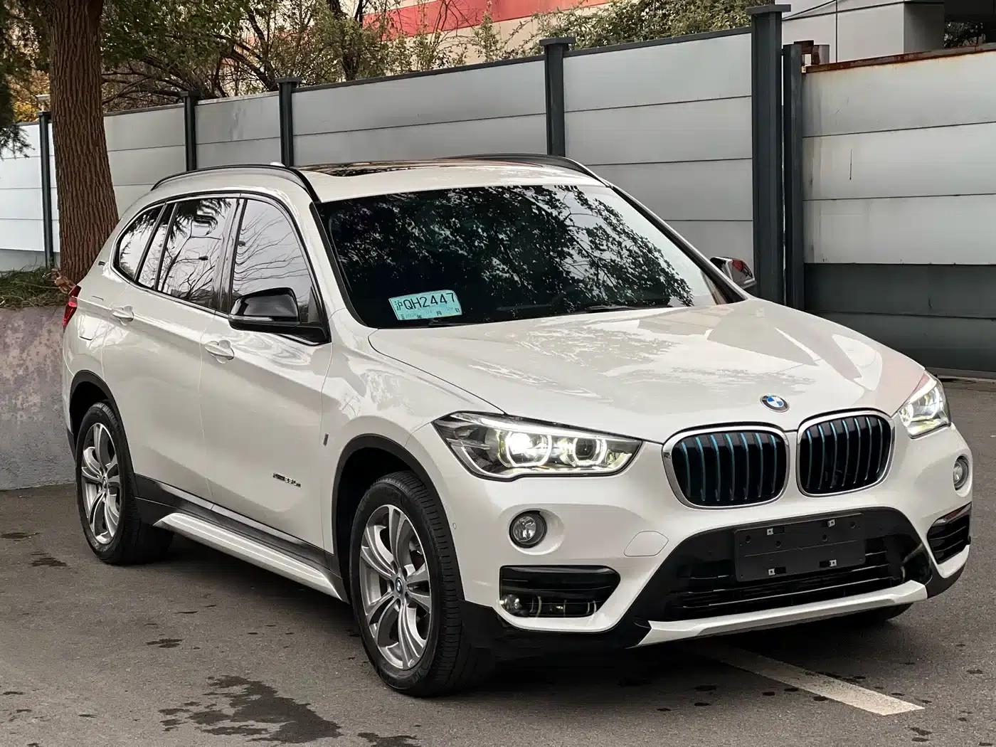 BMW X1 PHEV 2018 xDrive25Le Luxury — миниатюра 3
