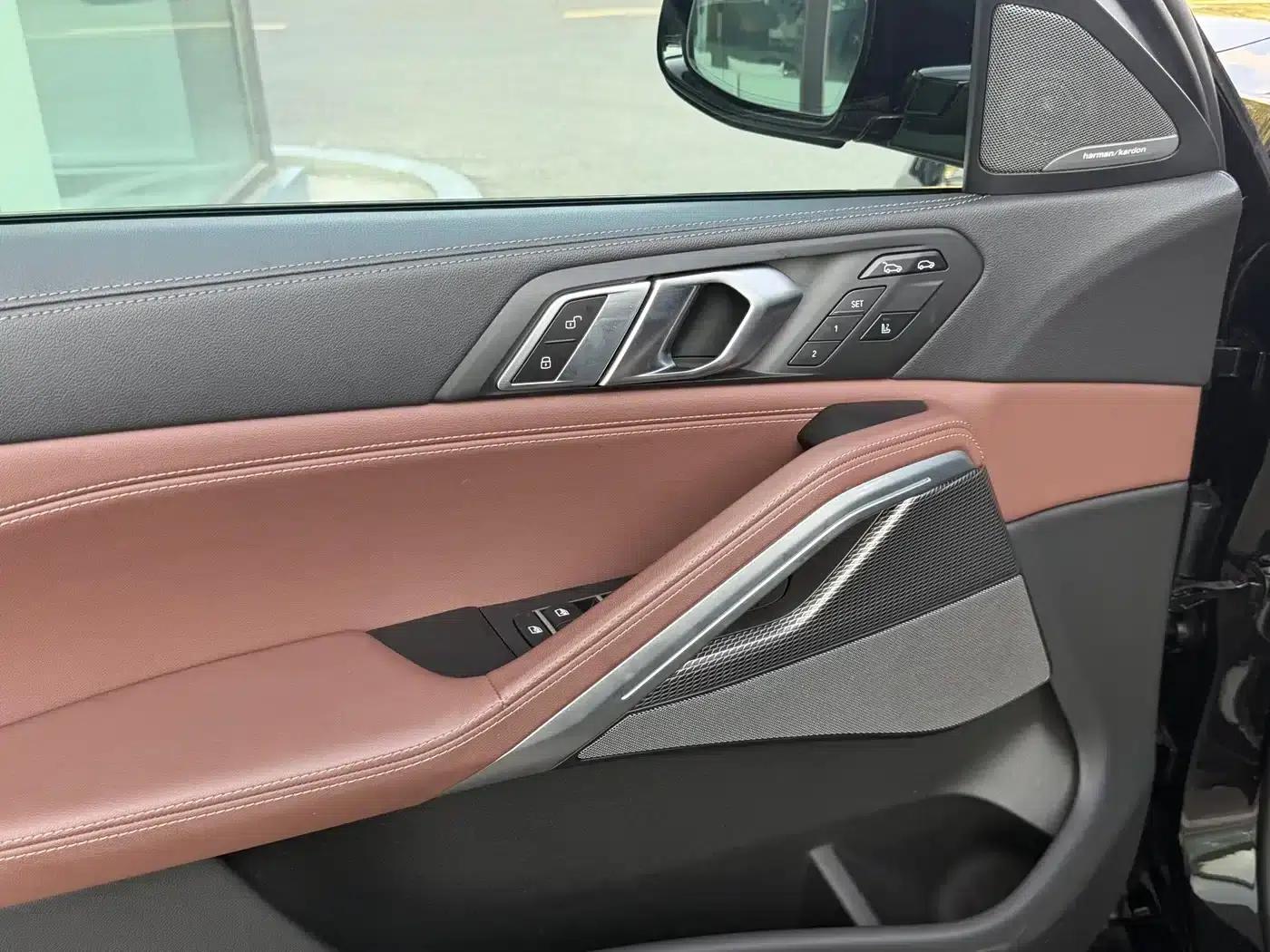 BMW X6 2022 Facelift II xDrive40i Luxury M Sport Package — миниатюра 7
