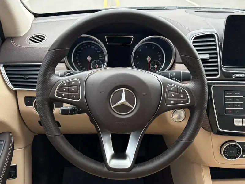 Mercedes-Benz GLE (Imported) 2019 GLE 320 4MATIC Dynamic Limited Edition — миниатюра 11
