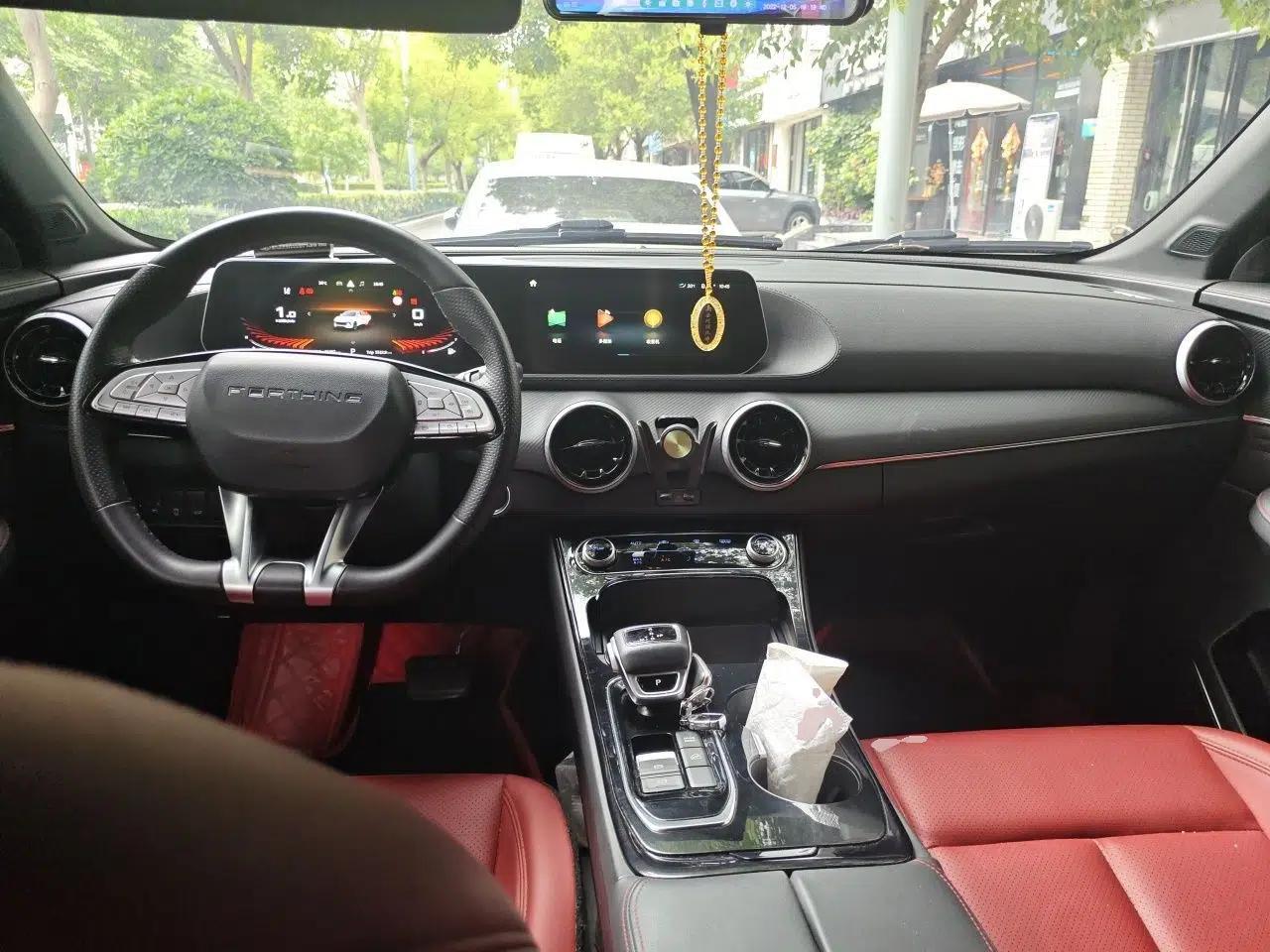 FORTHING T5 EVO 2021 1.5TD DCT Starry Edition — миниатюра 9