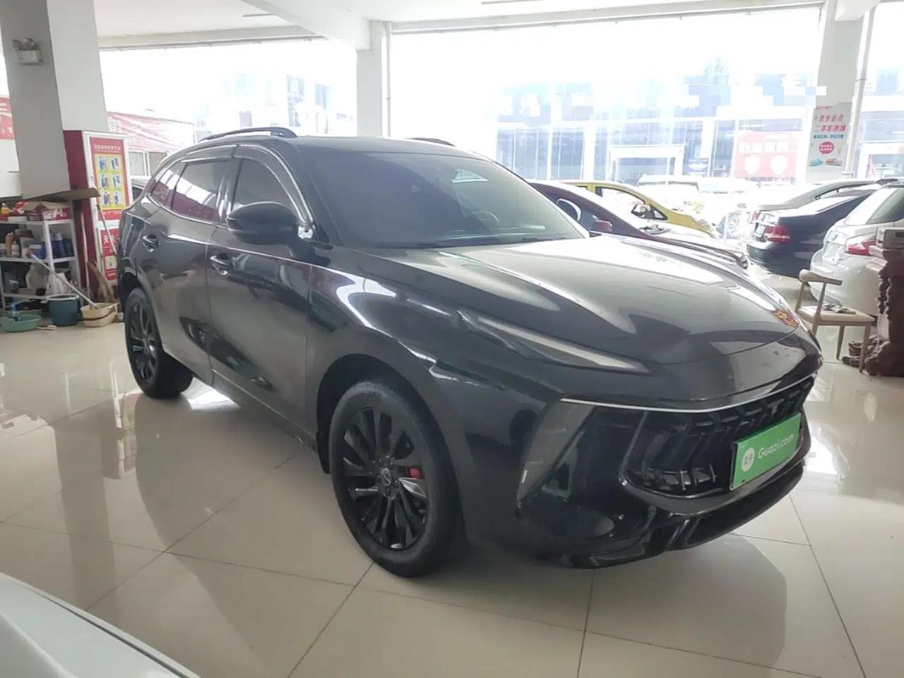 FORTHING T5 EVO 2021 1.5TD DCT Diamond Edition — миниатюра 3