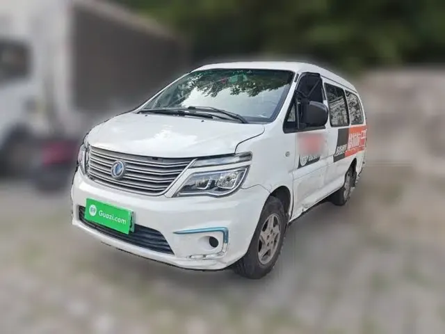 FORTHING Lingzhi M5 2018 Comfort Model