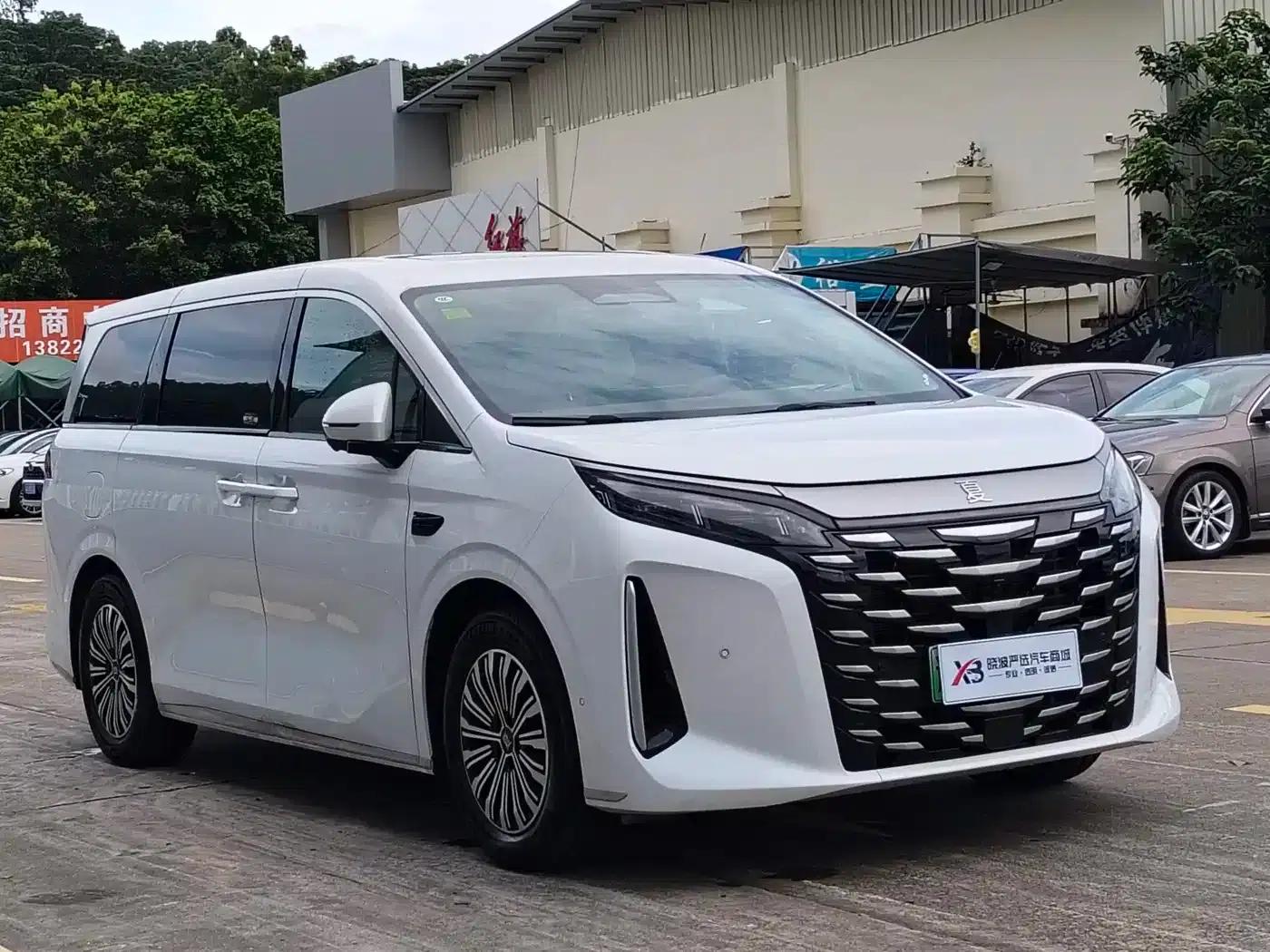 Summer 2025 DM-i 1.5T 180km Excellent Edition — миниатюра 3